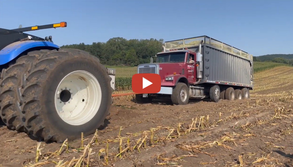 Corn Silage Harvest Is Beginning To Be In Full Swing Here At New