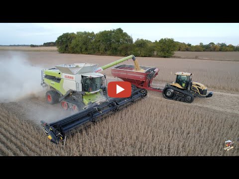 Mike Less Farmhand Mike Soybean Harvest Near Whitewater