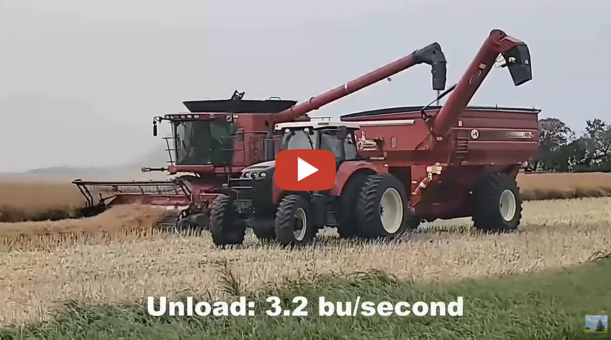 Canola Harvest In Manitoba Caseih Combine Harvesting A Crop