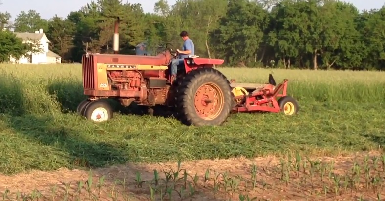 FARMALL 806 mowing hay