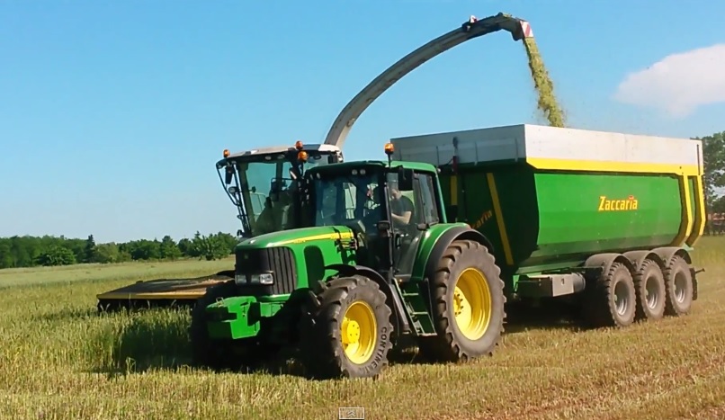 Triticale Whole Crop Silage.