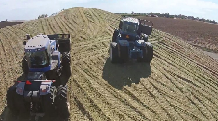 2014 Corn Silage, California Wedge Pile