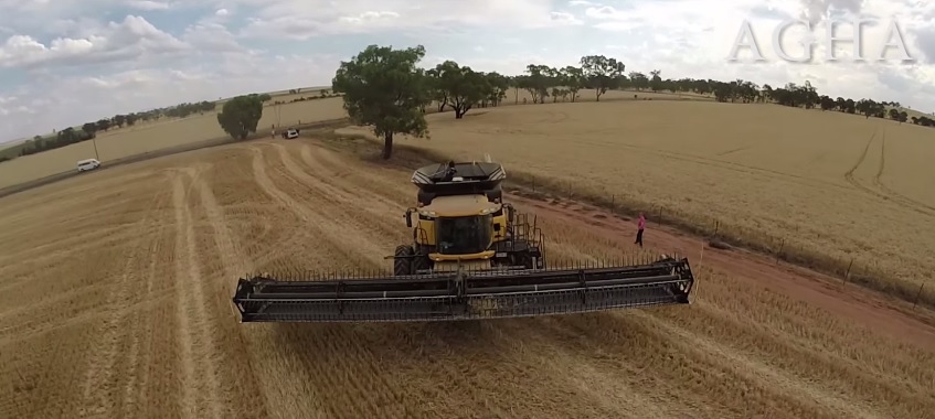 Entry into the Australian Grain Harvesters Association. Wheat ...