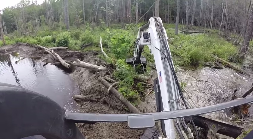 Busting A Beaver Dam! Mini Bobcat Excavator Mud Stuck Water Creek