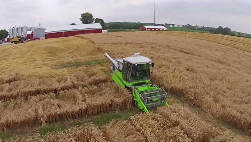 Pioneer Wheat Plot Harvest Tk Farms