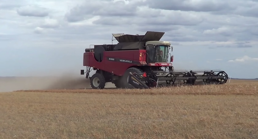 Versatile RT490 Combine Harvesting Lentils near Redstone Montana. -Mike ...