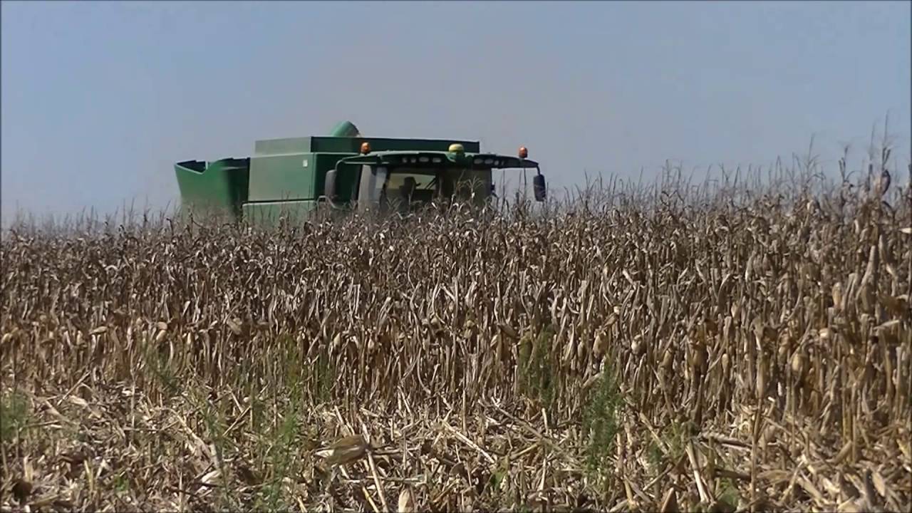 Murray Farms begins their 2016 corn harvest. A pair of S650 combines ...