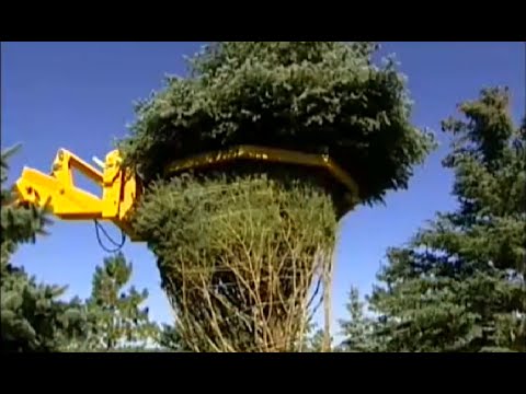 TOP Most tree relocation machines