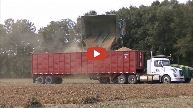Six John Deere 8000r Tractors Harvesting Peanuts Scott Farms Harvest