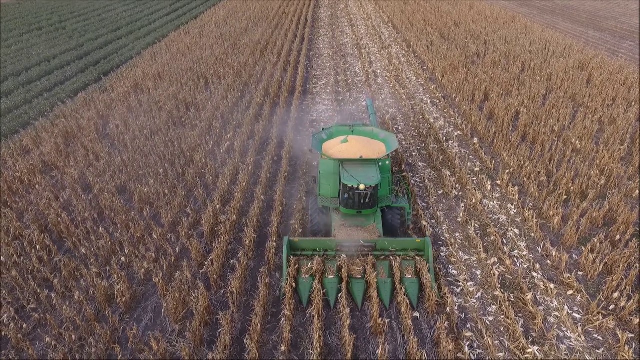 Australian Corn Harvest 2017 Prairie farming