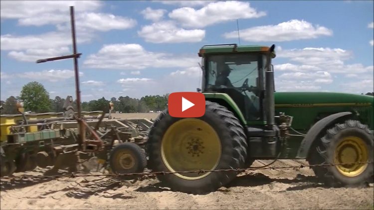John Deere 8300 Planting Peanuts Davis Farms 2017 Peanut Planting