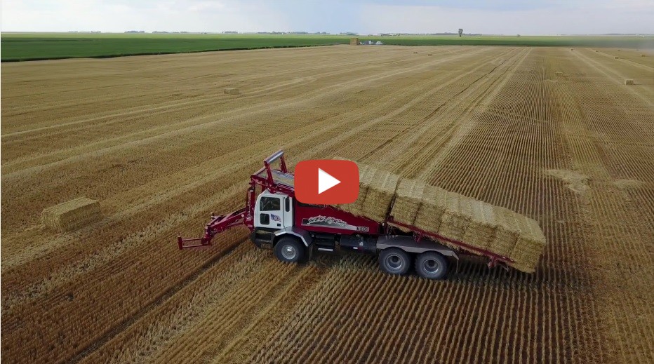 Hallock MN. Baling straw with three John Deeres and Krone balers