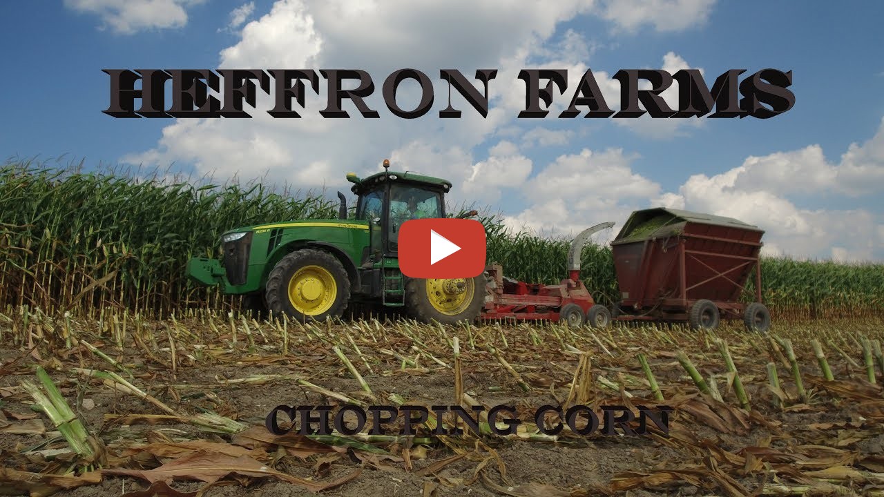 Heffron Farms Chopping Corn Using John Deere Tractors......... KT ...