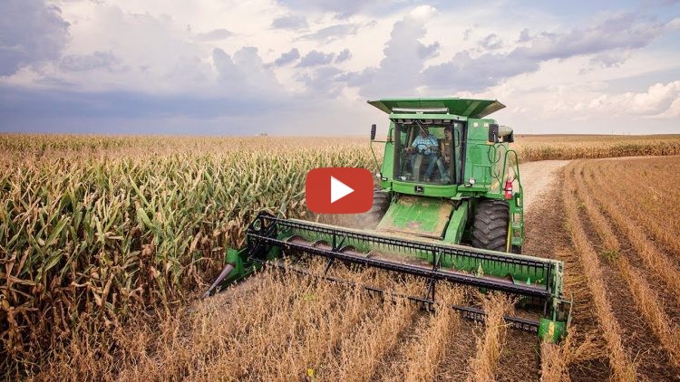 Ryan begin harvesting to calibrate the Yield Monitor and to iron out