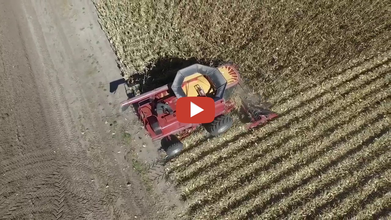 2017 corn harvest of Roth Family’s Country Greenery Farms near Cairo Nebraska. with Case ih