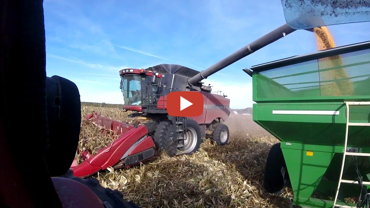 Michigan Corn Harvest 2017 with Case ih AFX 8010 Michigan Farming