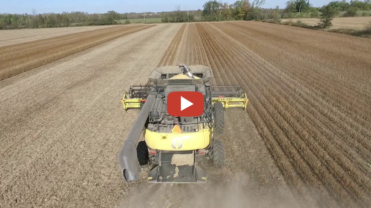 New Holland CR6090 is Harvesting Some Monosem Twin Row Soybeans in