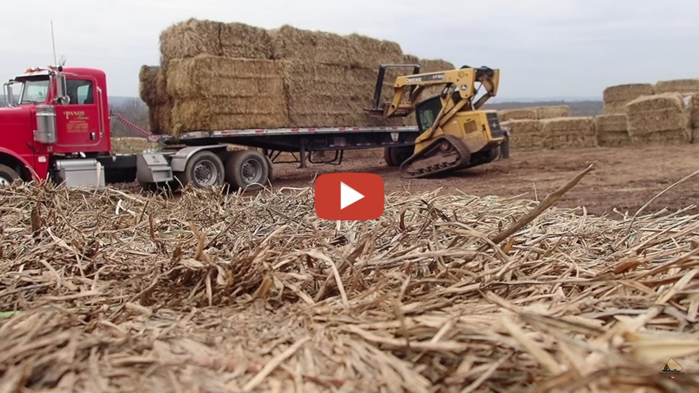 Skid Steer Wont Quit Smoking Unloading Hay onelonleyfarmer