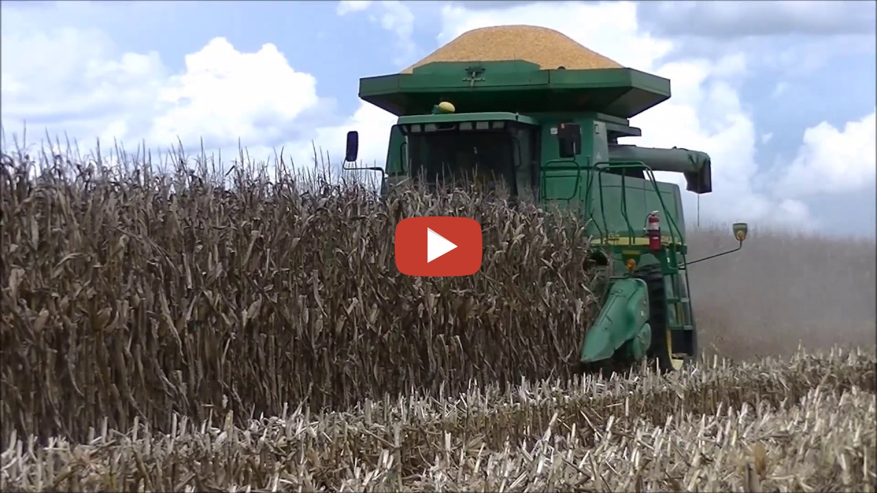 SK Farms 2018 corn harvest. This was shot on August 10, 2018. They are