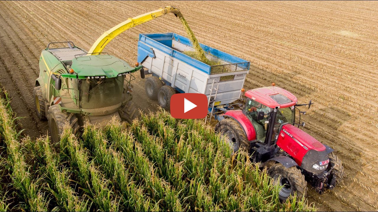 Ensilage De Maïs Avec Une Ensileuse John Deere 8500i Case Ih Mx 120 Mx 150 Et Puma 160 Fendt