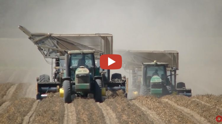 John Deere 8420 And 8270r Picking Peanuts Barber Farms 2018 Peanut