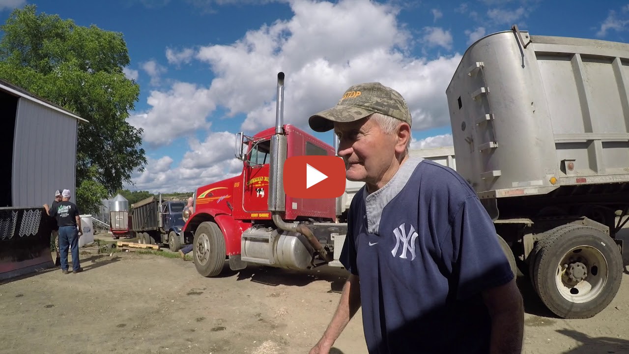 Spielman Farm Corn Chopping Season 2018 Baltic, CT trifektaproductions