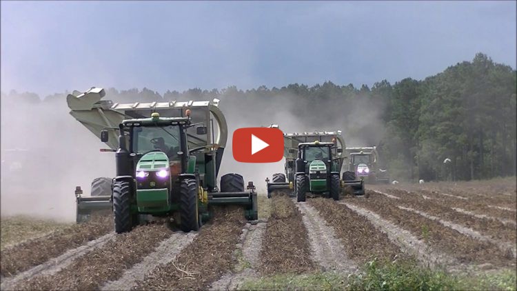 7 John Deere 8000r Series Tractors Picking Peanuts Green Circle Farms