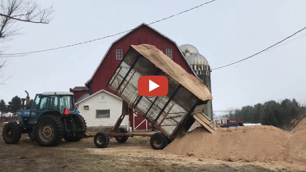 Sawdust Bedding on the Wisconsin Dairy Farm with Ford Tractor farmcards