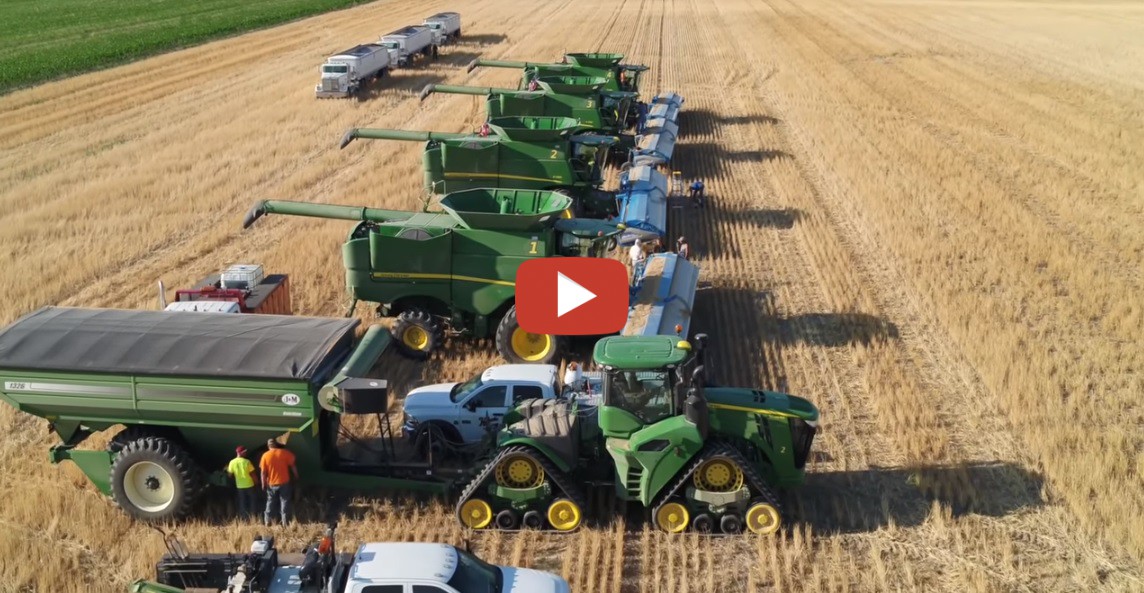 Kalcevic farms harvest 2018 with Walters Harvesting from Canada with a