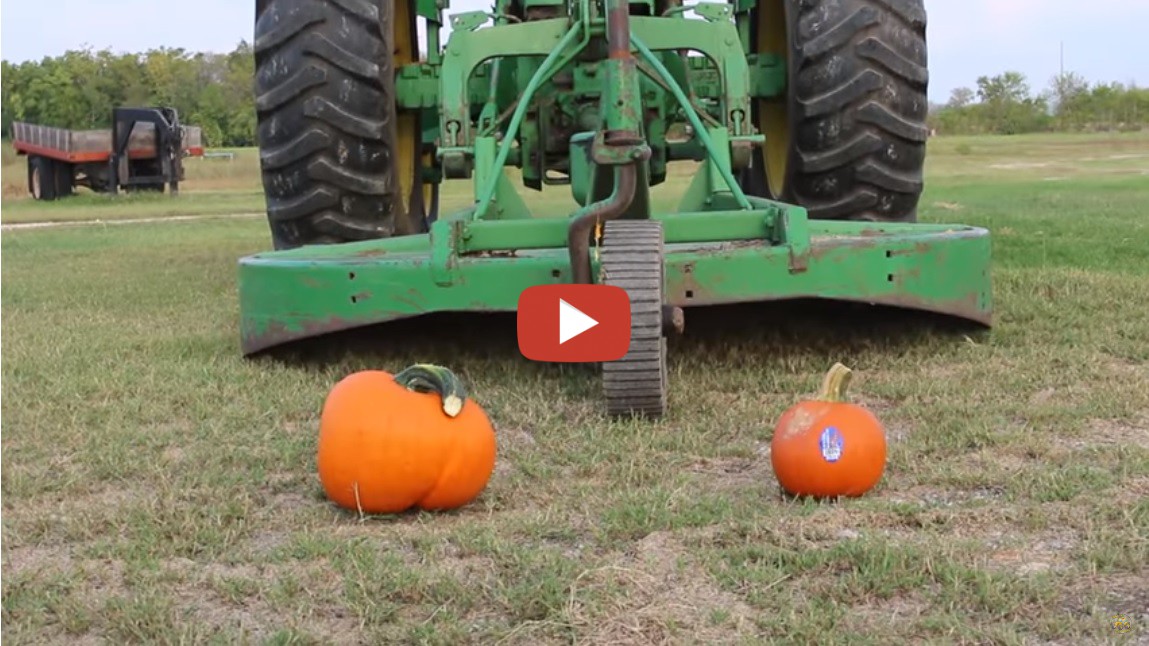 we-use-our-john-deere-4020-with-a-shredder-to-cut-up-a-pumpkin-cut-grass-and-other-things