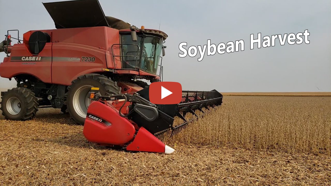 *2020 Iowa Soybean Harvest – Epic Highlights Welcome to the Currie ...