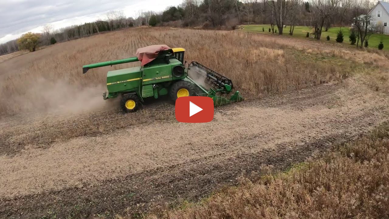 Why The Cover Rough Soybean Field Harvest 2020 Soybean Harvesting In Tuscola County Michigan 7638