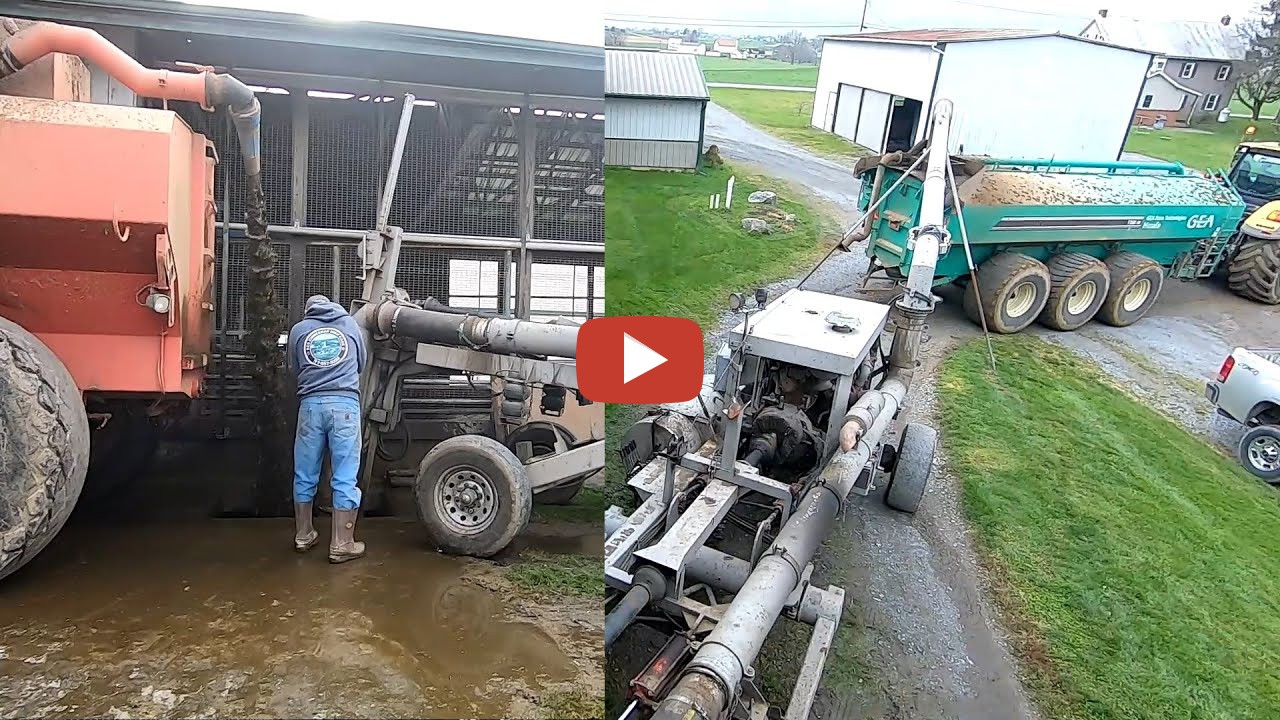 10th Generation Dairyman -- Manure Farming -- Milking, emptying manure