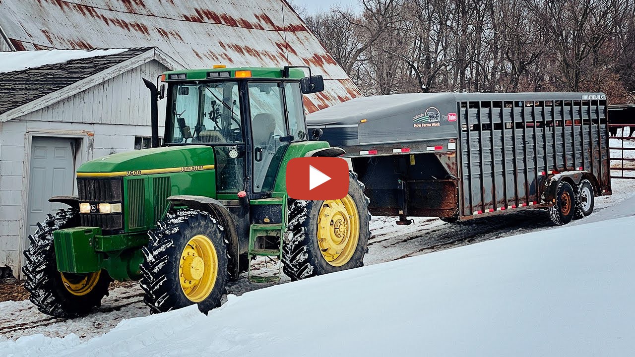🐄🐄How Farms Work Hauling Cattle John Deere 7600 Pulls The