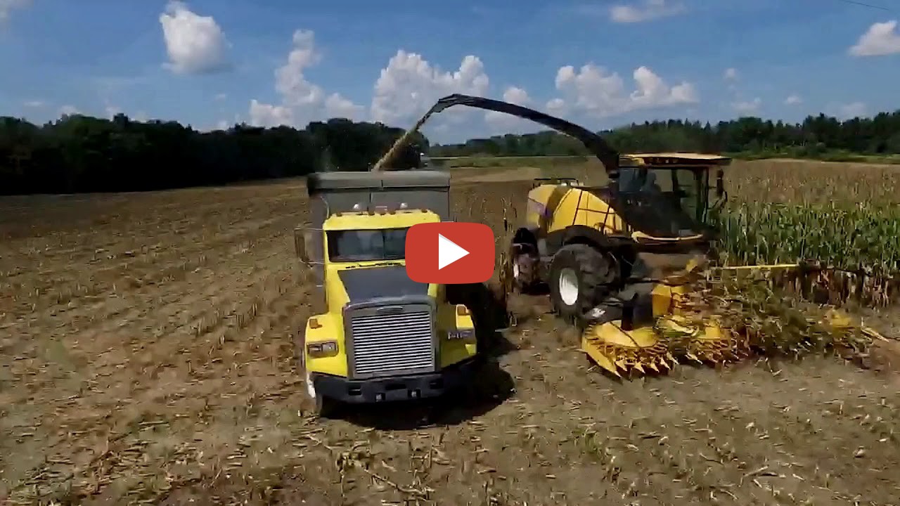 *IRISHTOWN ACRES Corn Silage Chopping New Holland FR650 and several