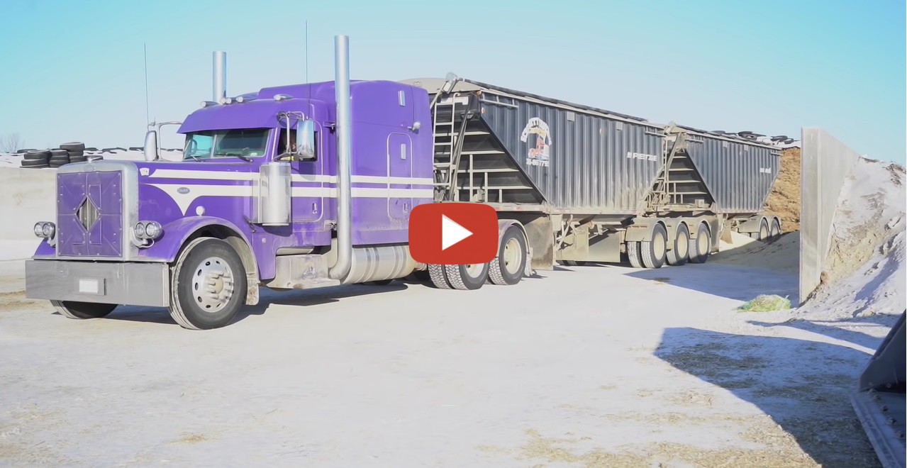 Miserable Winter Days... A Lot of work this winter -- Where is the ...