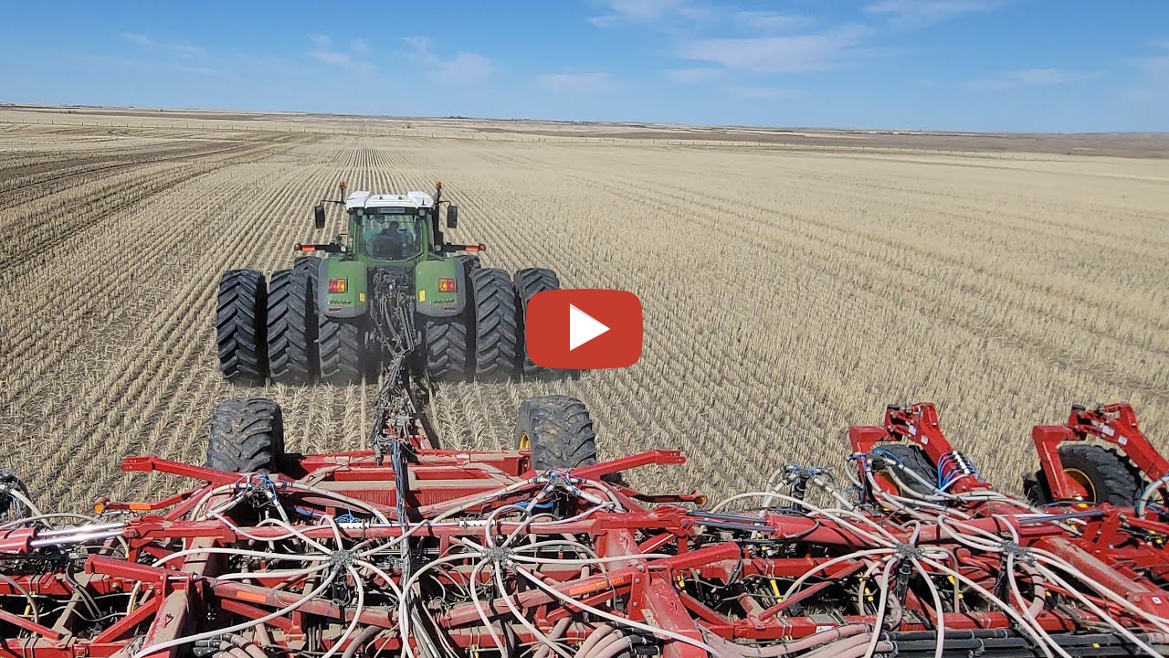 Mike Mitchell -- Drill riding round 1! 2021 -Mike is always looks ...