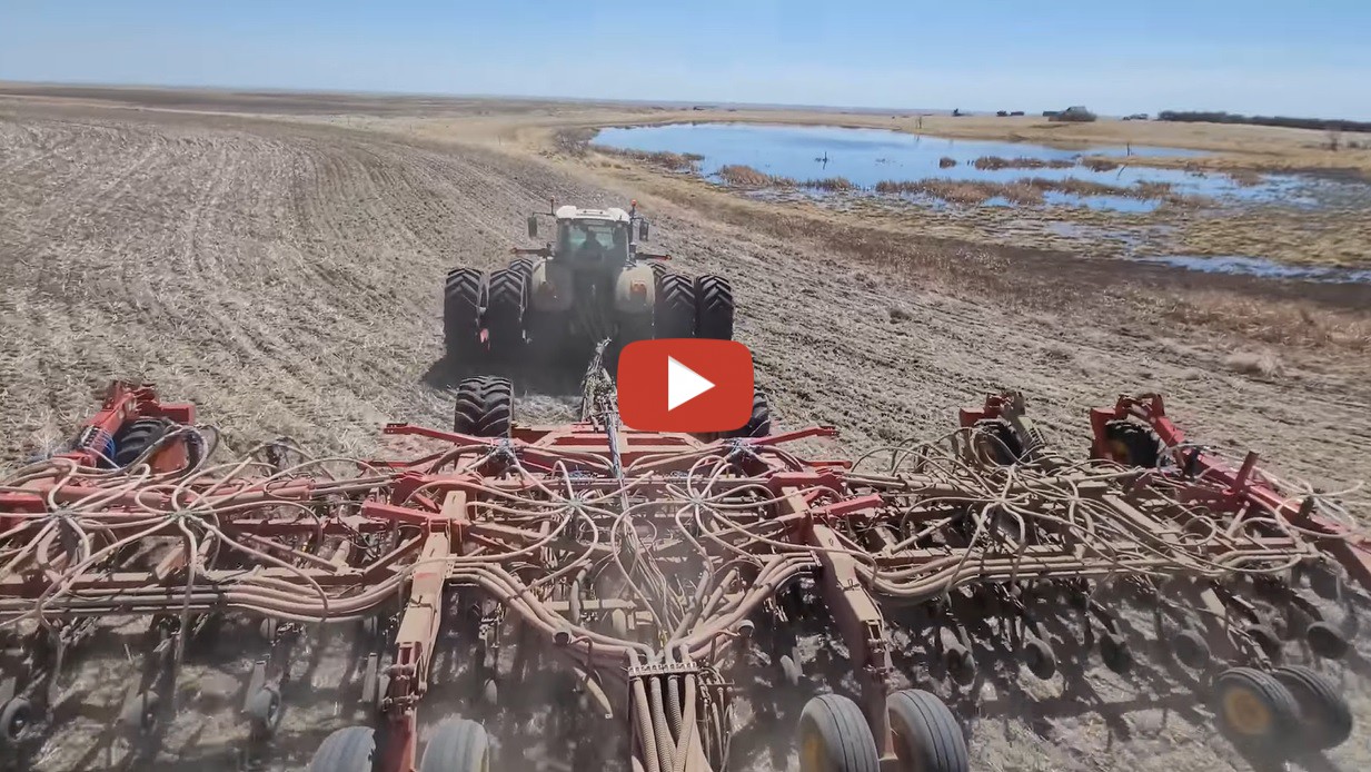 Mike Mitchell -- Mike being Mike - Drill riding round 2! Back to what ...