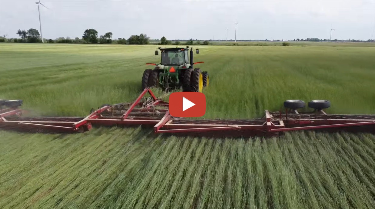 Farming with Carp Roll crimping soybeans that are at the V1 growth