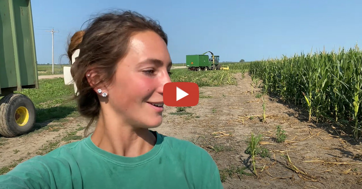Laura Farms Chopping Corn Silage 2021 in Nebraska, USA with a John
