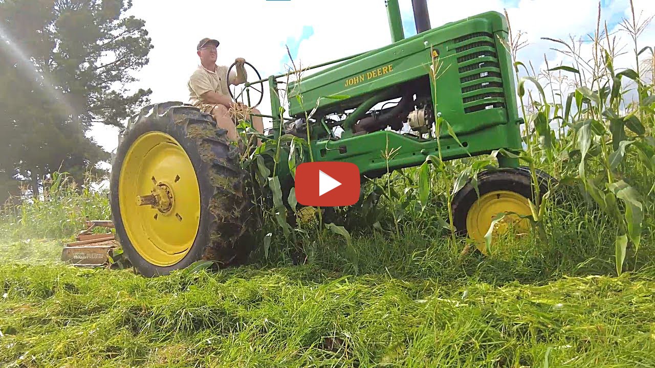 "Working Showgirl" 1949 John Deere A mows corn stalks and makes the