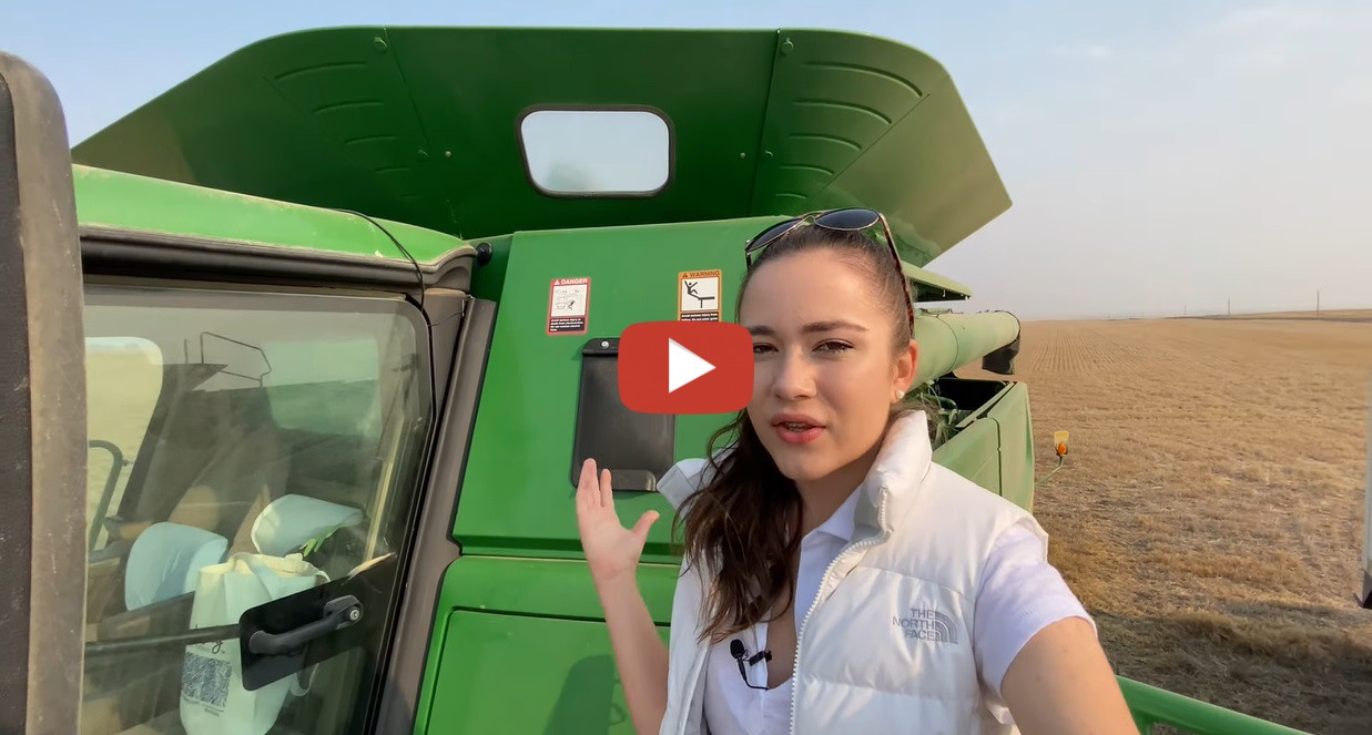 Kate's Ag Farm to Fashion Montana Wheat Harvest 2021 I take you