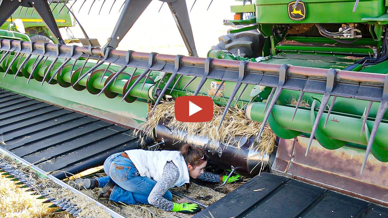 Disaster!! Digging Out Dirt. Last day of our Montana Wheat Harvest 2021