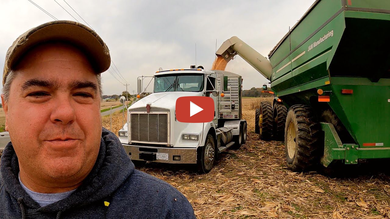 60 Semi Loads, 3 Days. Family Corn Harvest! Corn Farmers Have Big Ears ...