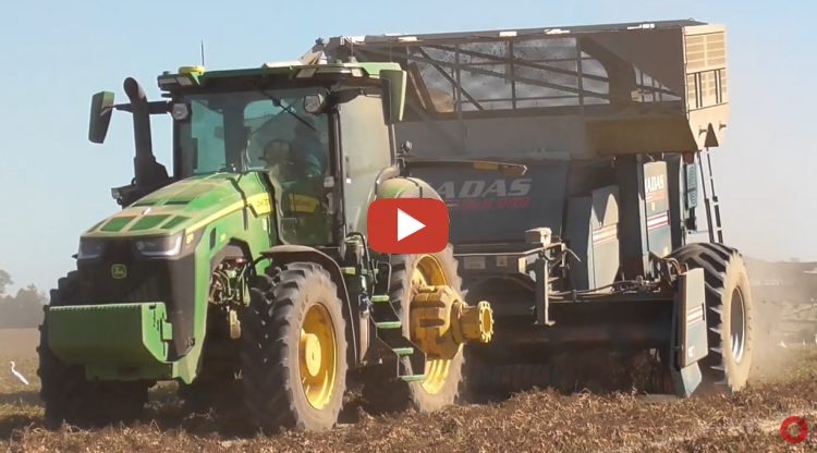 Picking Peanuts With 6 John Deere R Tractors With 6 Rows Amadas Peanut