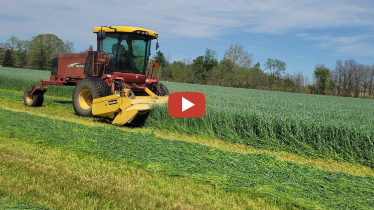 Acres of Clay Homestead -- Mowing and Feeding it Fresh - It's time to ...