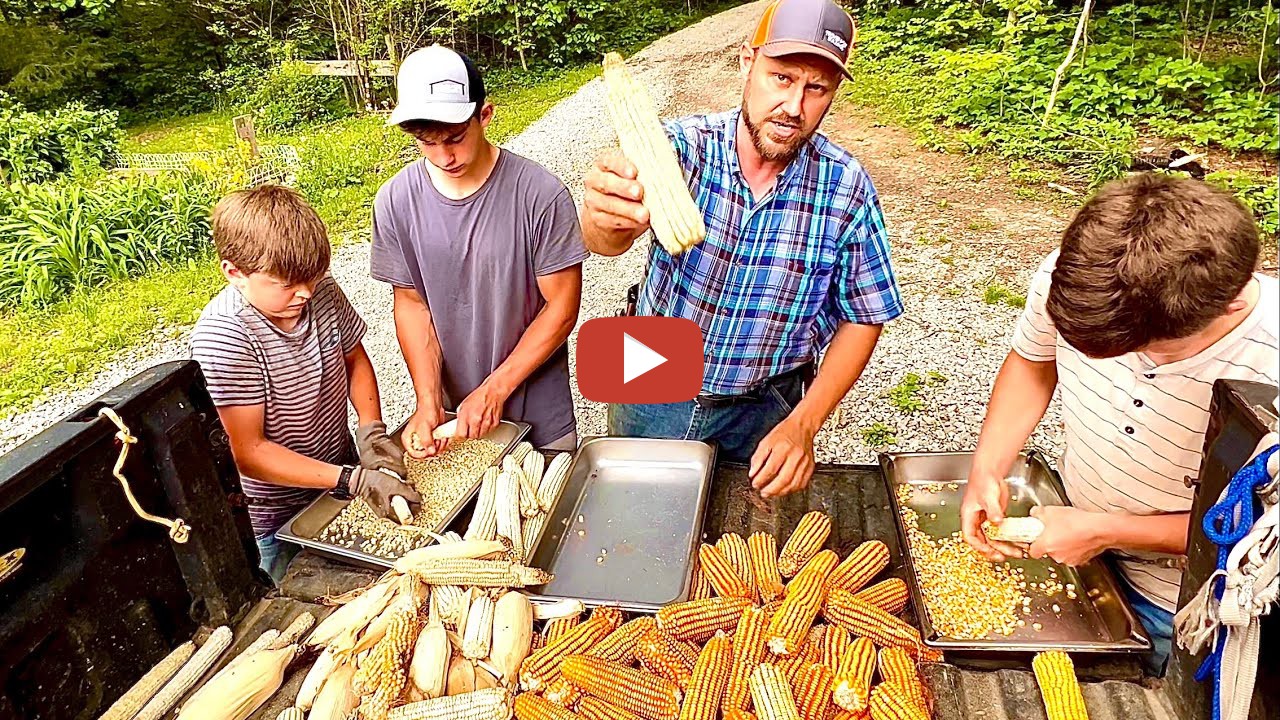 Corn planting in Tennessee! AllisChalmers planter! 2022 We’ve been