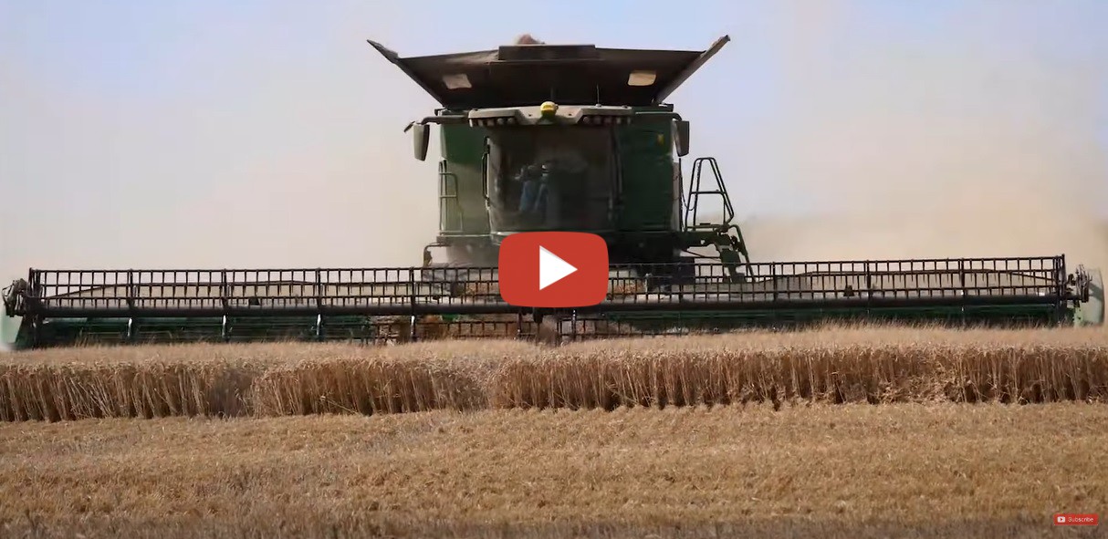 2022 The huge 100 Ton an hour John Deere X9 Combining Wheat for FW Rowe