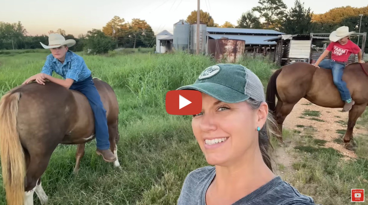 This Farm Wife Meredith Bernard We Had To Clean Out Of Feeder And   Merpaa 