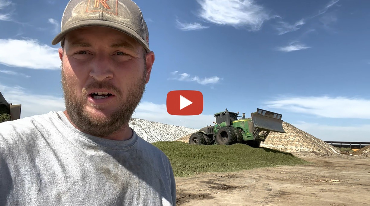 Starting silage pile with John Deere 9570R form the first load till ...